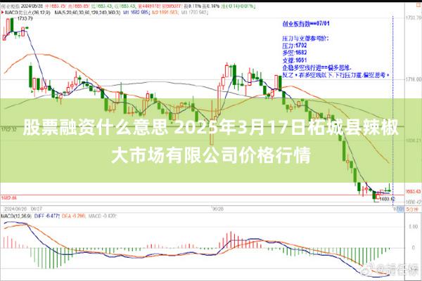 股票融资什么意思 2025年3月17日柘城县辣椒大市场有限公司价格行情