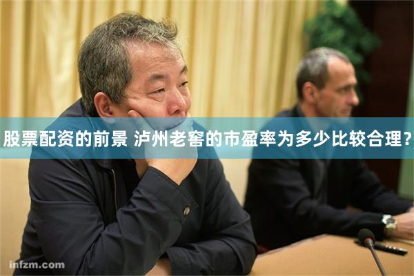 股票配资的前景 泸州老窖的市盈率为多少比较合理?