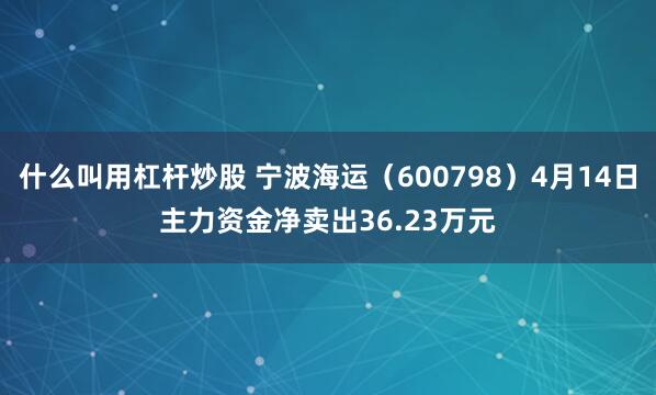 什么叫用杠杆炒股 宁波海运(600798)4月14日主力资金净卖出36.23万元