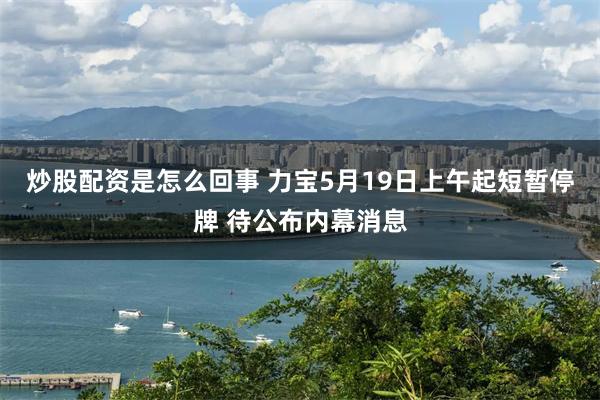炒股配资是怎么回事 力宝5月19日上午起短暂停牌 待公布内幕消息