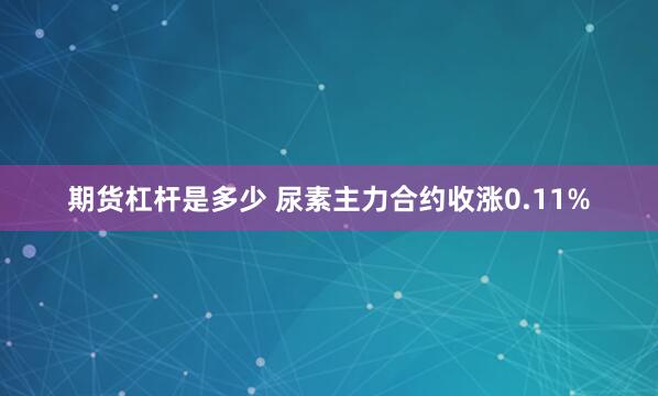 期货杠杆是多少 尿素主力合约收涨0.11%