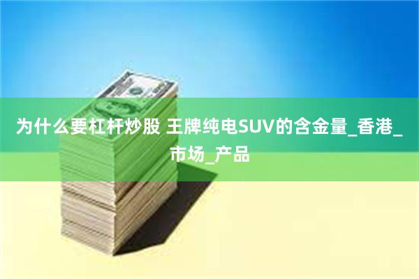 为什么要杠杆炒股 王牌纯电SUV的含金量_香港_市场_产品