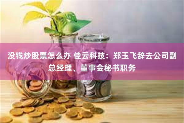 没钱炒股票怎么办 佳云科技:郑玉飞辞去公司副总经理、董事会秘书职务