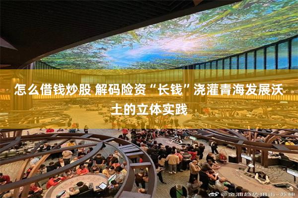 怎么借钱炒股 解码险资“长钱”浇灌青海发展沃土的立体实践