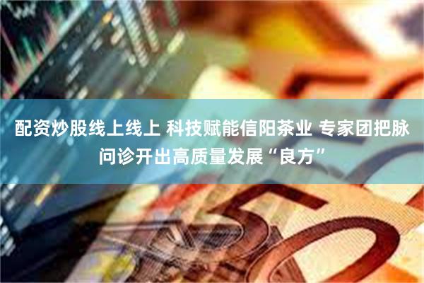 配资炒股线上线上 科技赋能信阳茶业 专家团把脉问诊开出高质量发展“良方”