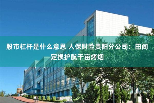 股市杠杆是什么意思 人保财险贵阳分公司：田间定损护航千亩烤烟