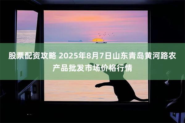 股票配资攻略 2025年8月7日山东青岛黄河路农产品批发市场价格行情