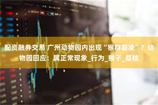 配资融券交易 广州动物园内出现“猴群霸凌”？动物园回应：属正常现象_行为_猴子_荔枝