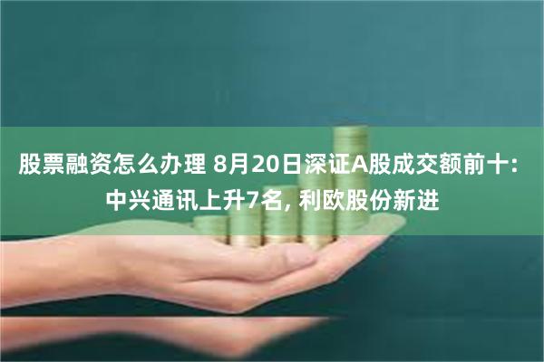 股票融资怎么办理 8月20日深证A股成交额前十: 中兴通讯上升7名, 利欧股份新进