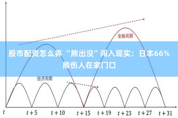 股市配资怎么弄 “熊出没”闯入现实:日本66%熊伤人在家门口