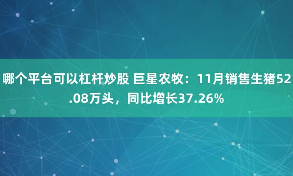 哪个平台可以杠杆炒股 巨星农牧：11月销售生猪52.08万头，同比增长37.26%